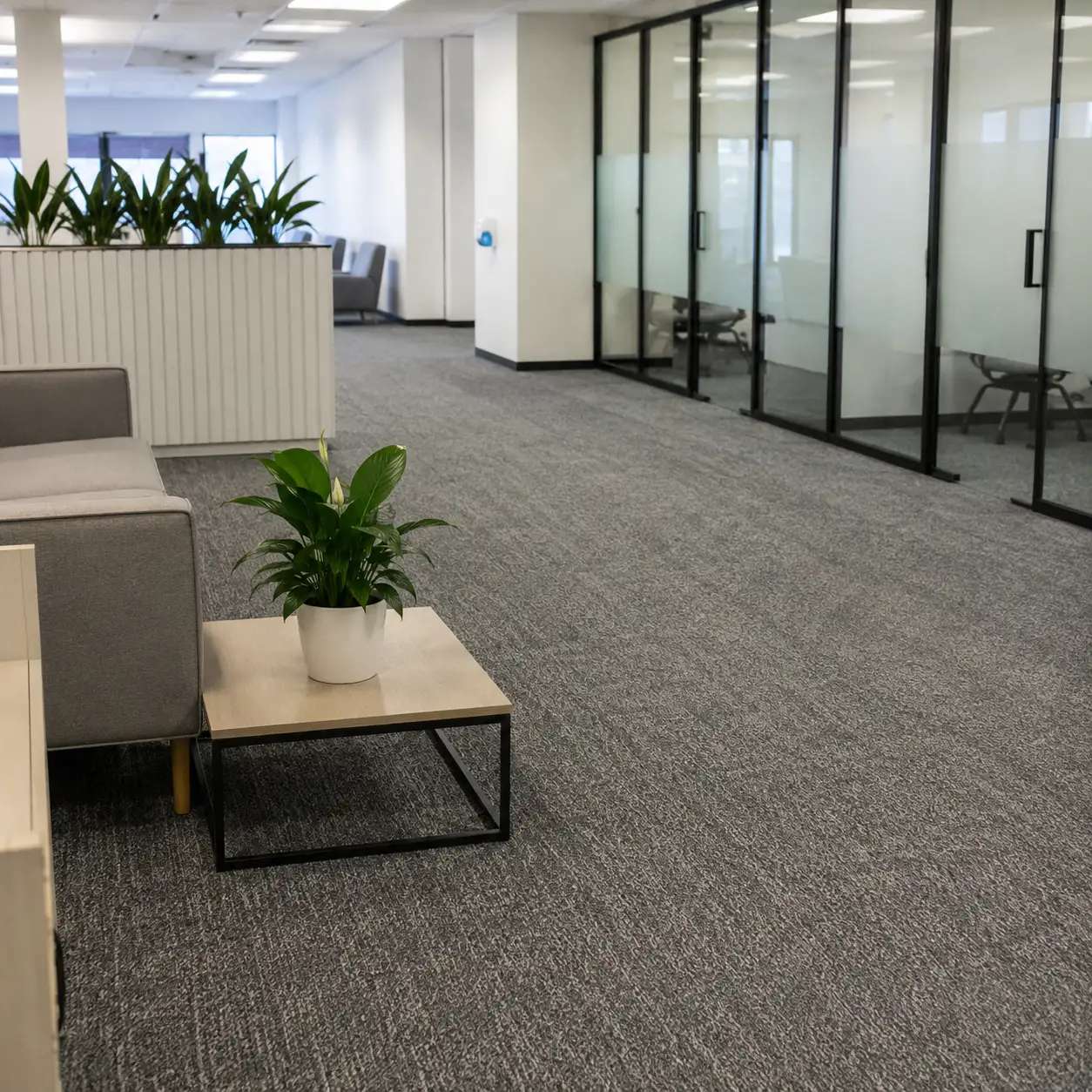 professionally maintained commercial workspace.